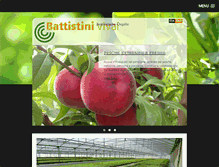 Tablet Screenshot of battistinivivai.com